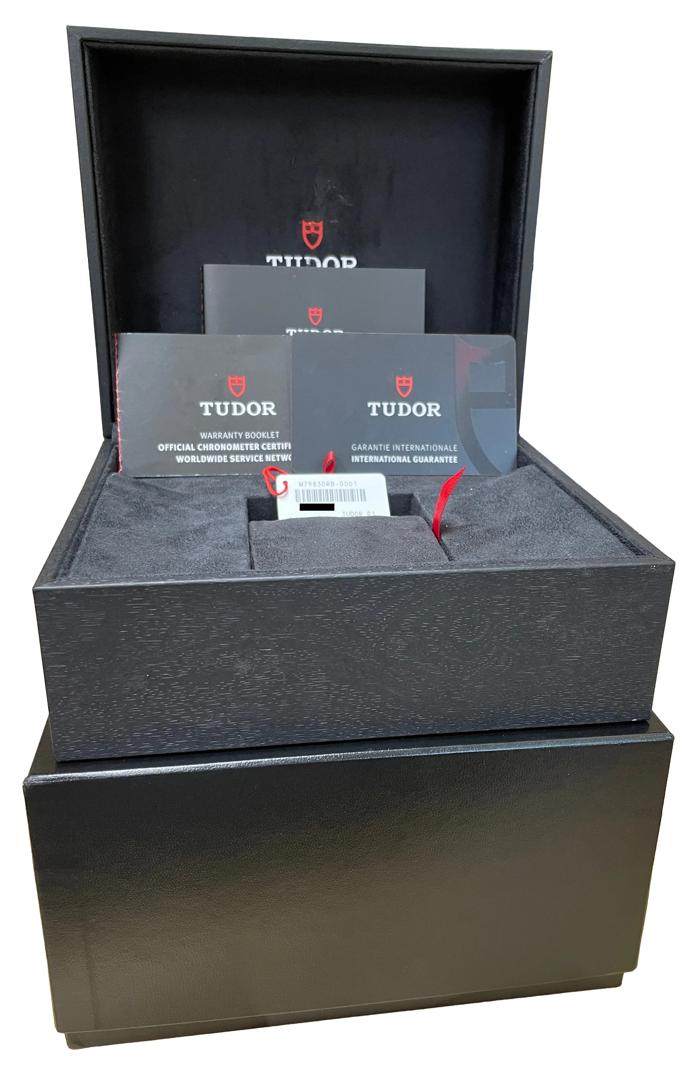 2020 Tudor Black Bay GMT Pepsi 41mm Stainless Steel Black Date Watch 79830RB B P
