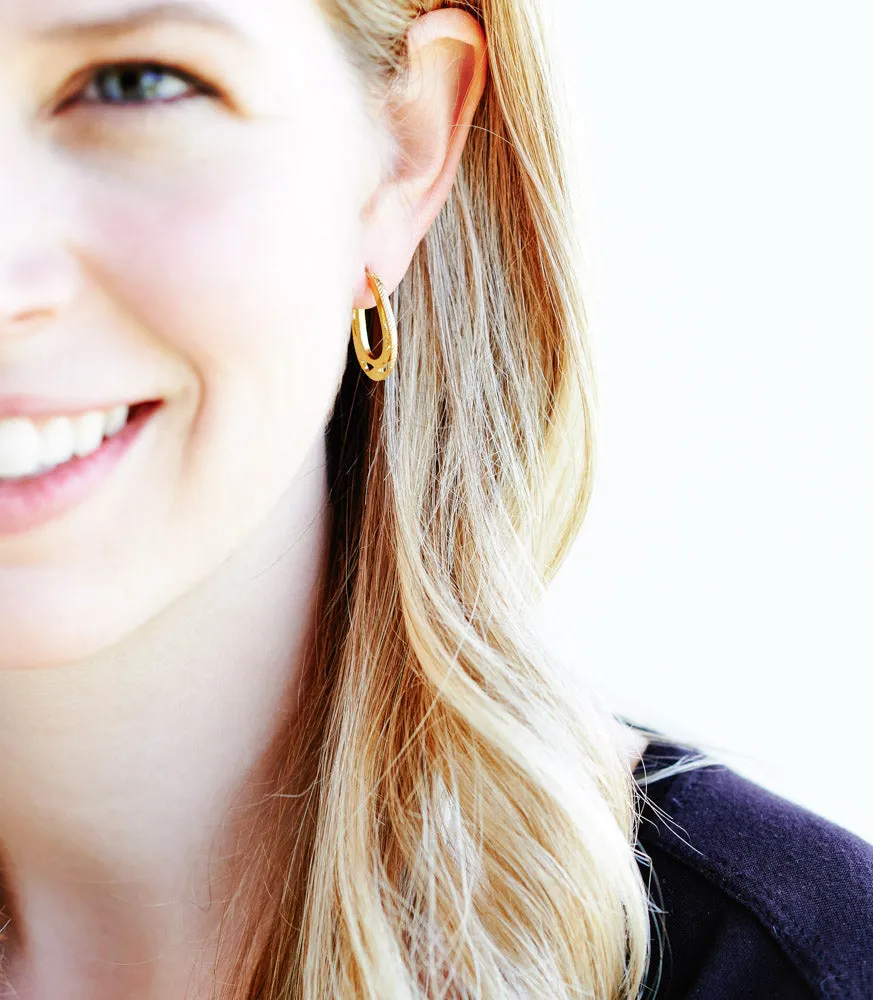 Horseshoe Hoop Earrings