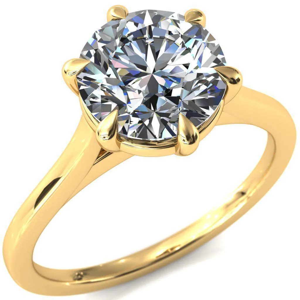 Lizzy Round Center Stone 6 Claw Prong Cathedral Engagement Ring
