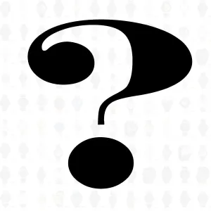 Men's Mystery Watch