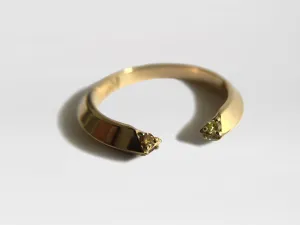 Passage Ring