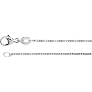 Platinum Diamond Cut Box 20" Chain
