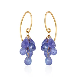 Tanzanite Cluster earrings
