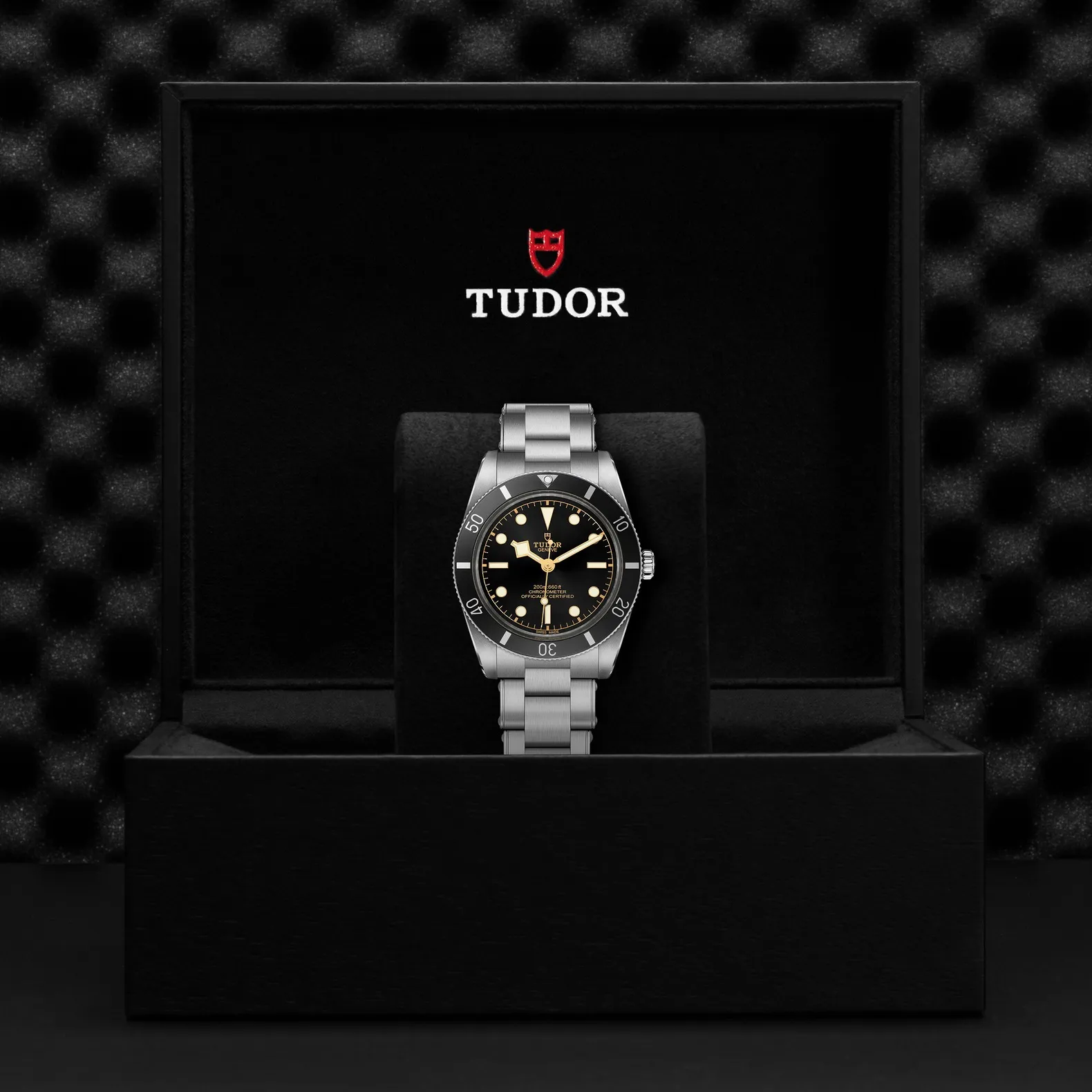 Tudor Black Bay 54